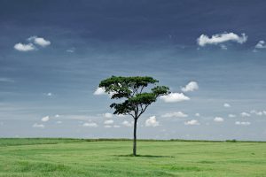 Eduardo buscariolli 9rGmxYrN Jw unsplash
