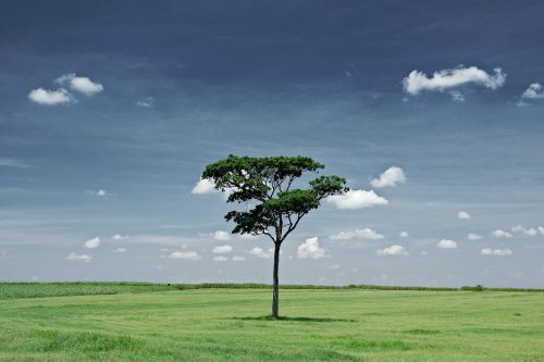 Eduardo buscariolli 9rGmxYrN Jw unsplash