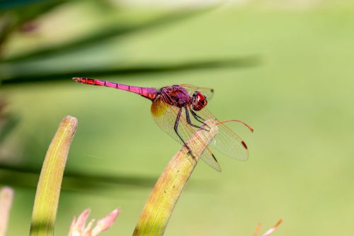 Erik karits taDfR 8kFV8 unsplash