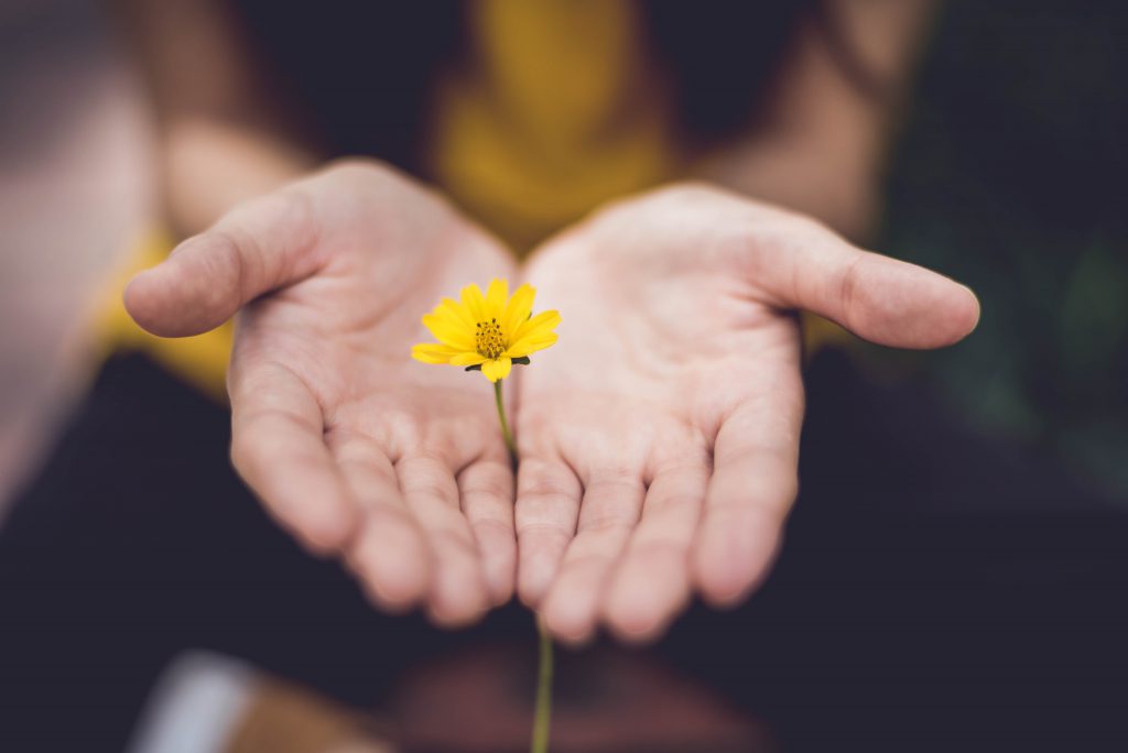 seedling and globe in each hand