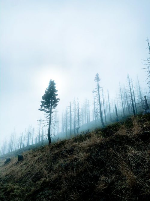 Meritt thomas YjRmPekRehk unsplash